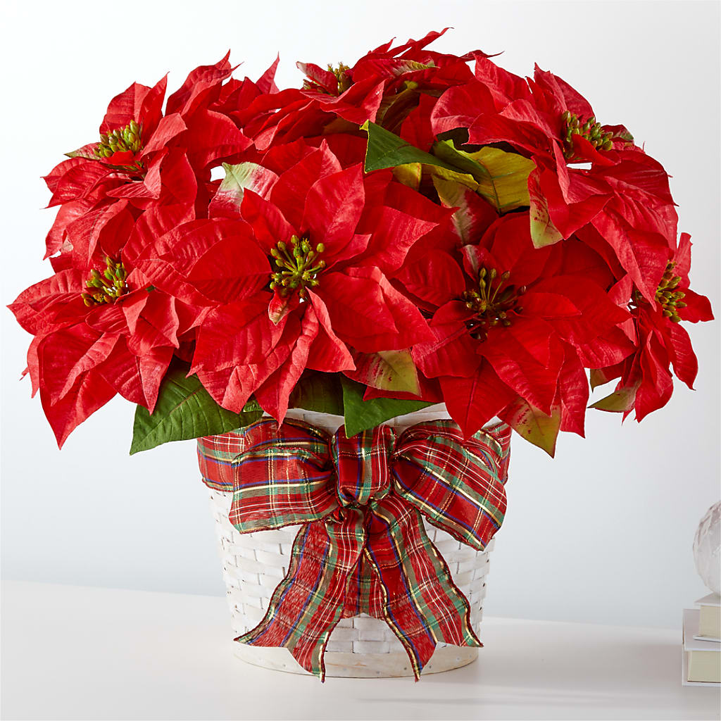 Happiest Holidays Poinsettia – KIEFER'S FLORIST, Coshocton OH