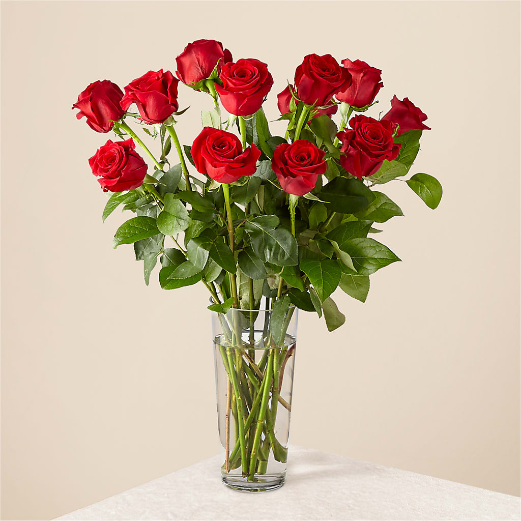 Long Stem Red Rose Bouquet – KIEFER'S FLORIST, Coshocton OH