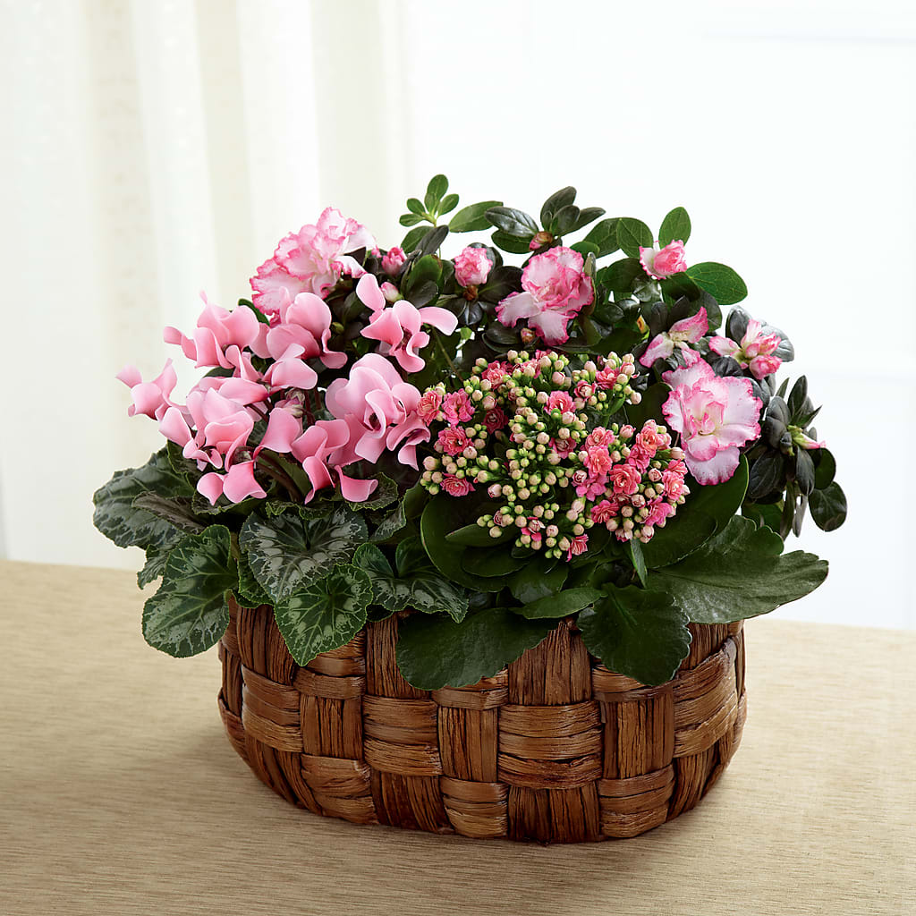 Pink Assortment – KIEFER'S FLORIST, Coshocton OH