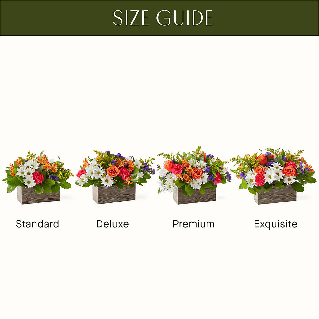 Oopsie Daisy Box Bouquet – KIEFER'S FLORIST, Coshocton OH