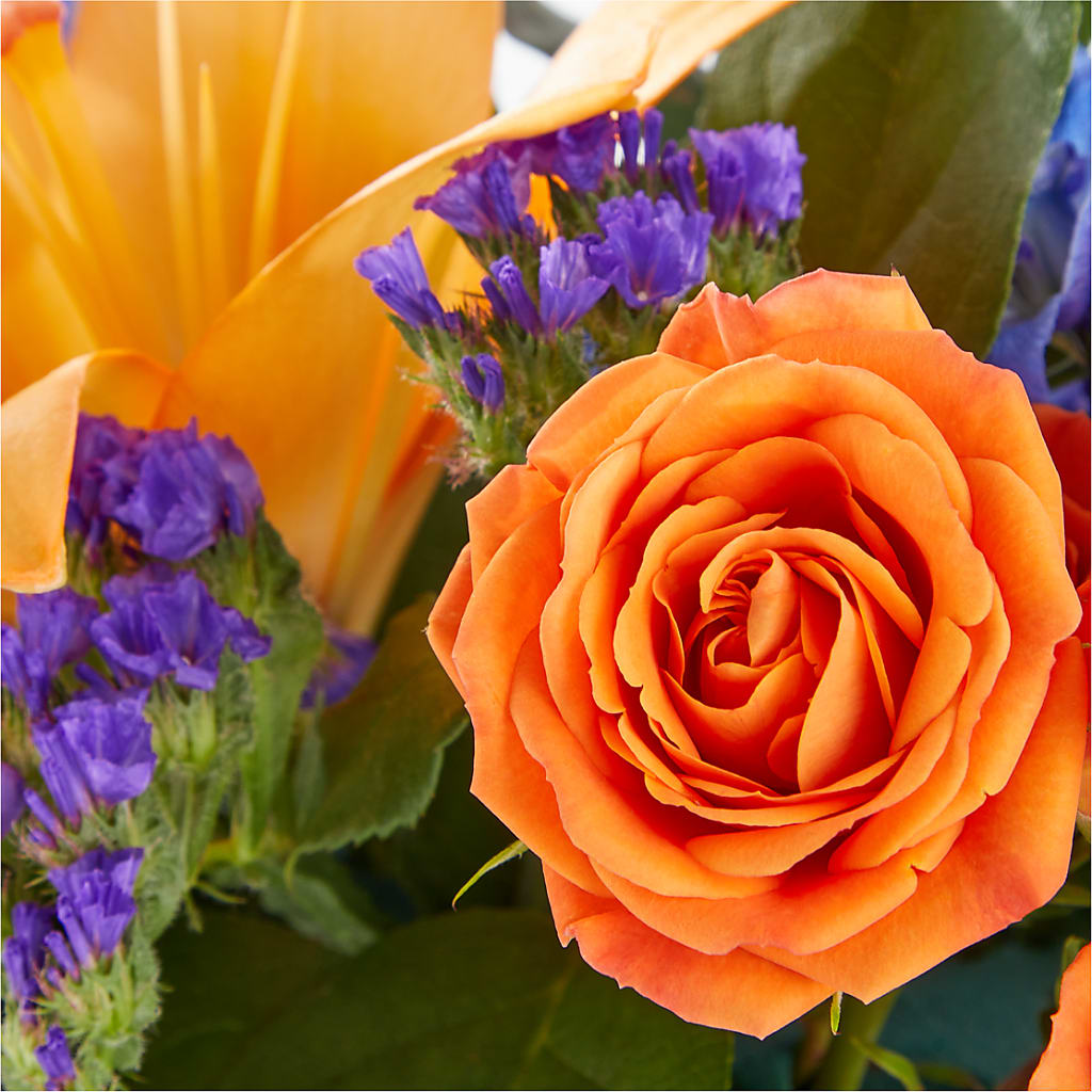 Radiant Citrus Box Bouquet – KIEFER'S FLORIST, Coshocton OH
