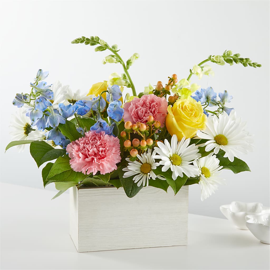 Sun Salutation Box Bouquet – KIEFER'S FLORIST, Coshocton OH