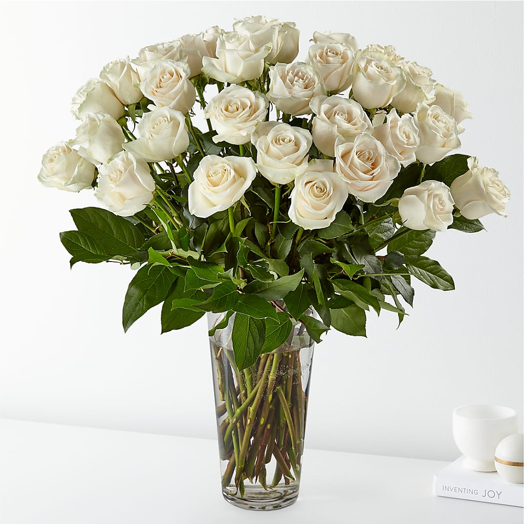 Long Stem White Rose Bouquet – KIEFER'S FLORIST, Coshocton OH