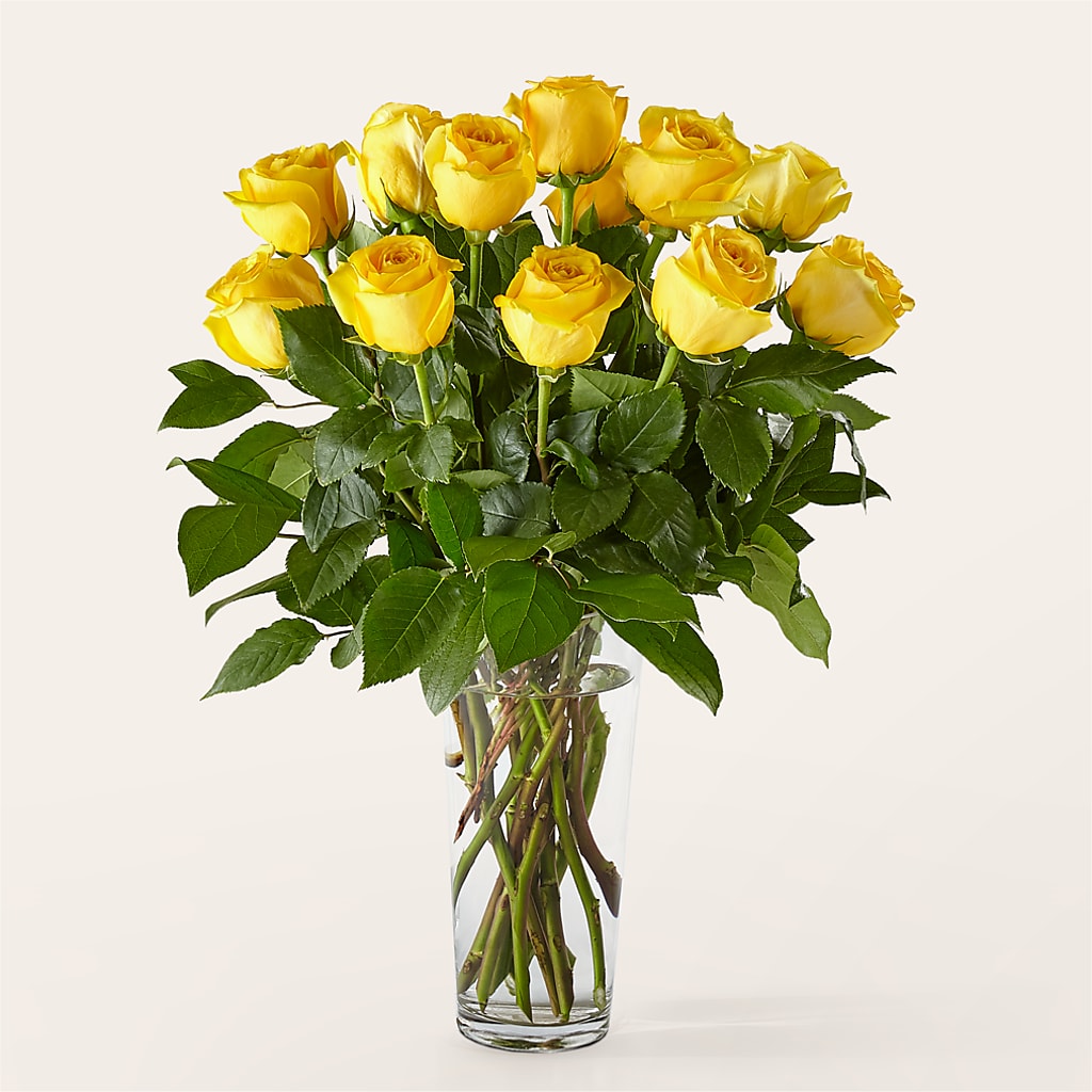 Long Stem Yellow Rose Bouquet – KIEFER'S FLORIST, Coshocton OH