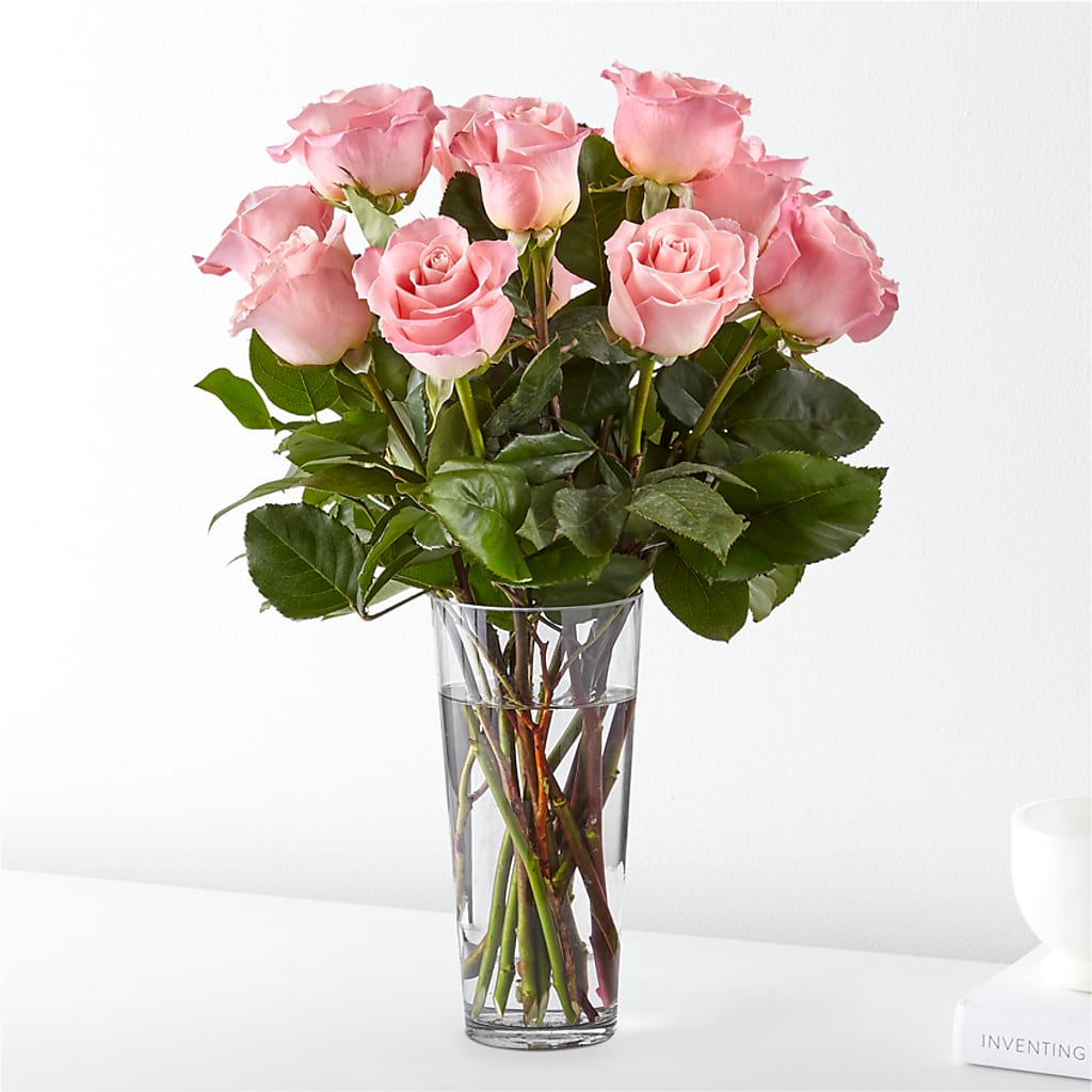 Long Stem Pink Rose Bouquet – KIEFER'S FLORIST, Coshocton OH