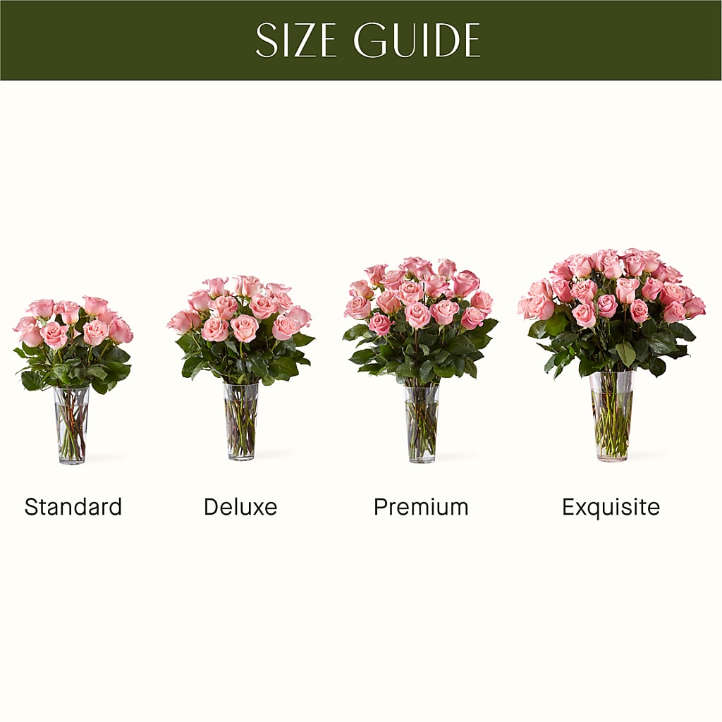 Long Stem Pink Rose Bouquet – KIEFER'S FLORIST, Coshocton OH