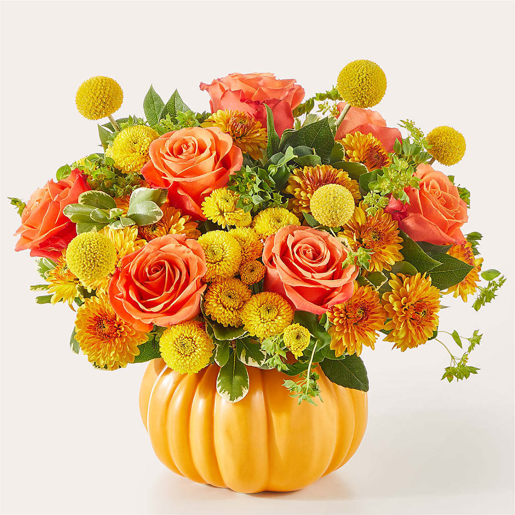 Gourdgeous Pumpkin – KIEFER'S FLORIST, Coshocton OH