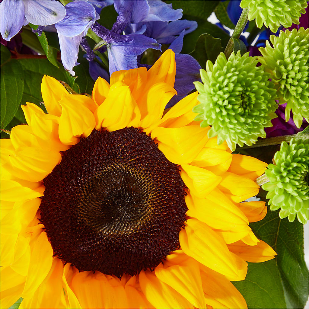 Catching Rays Bouquet – KIEFER'S FLORIST, Coshocton OH