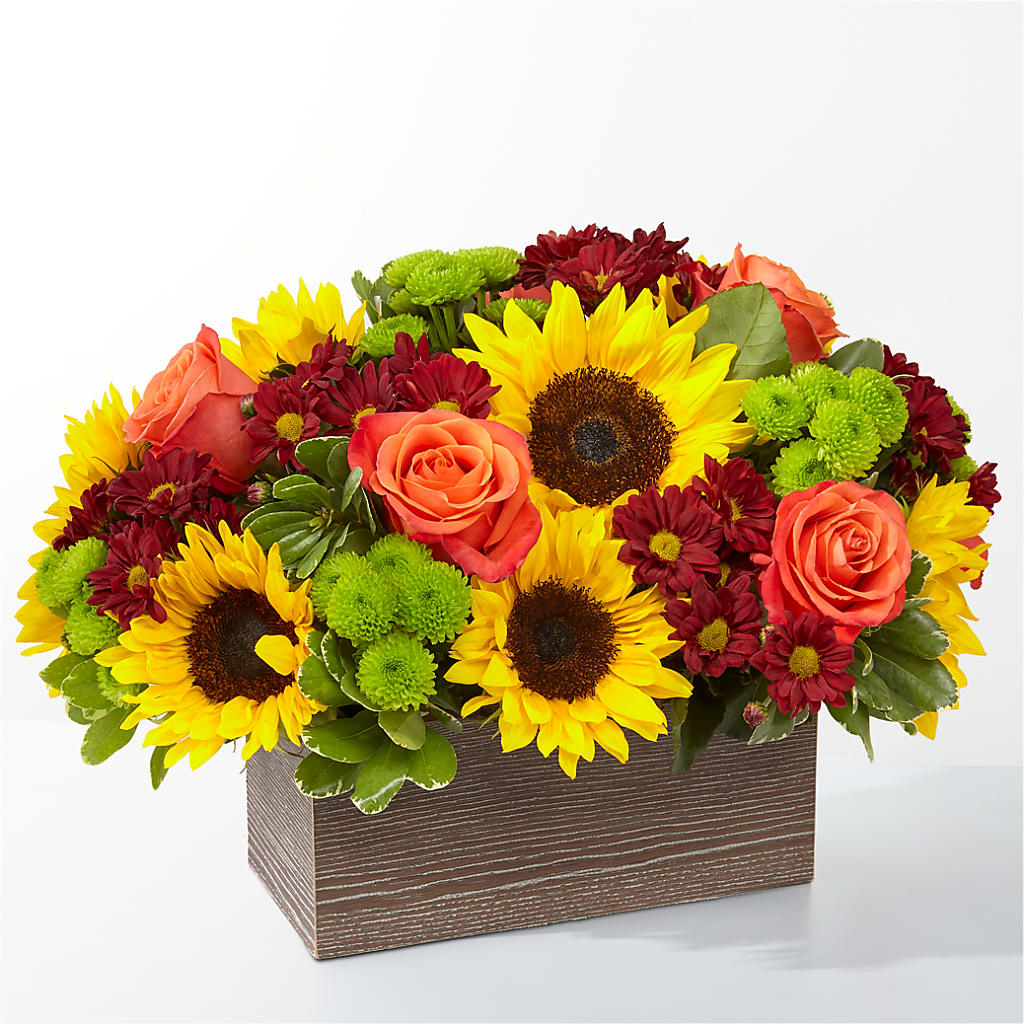 Happy Harvest Garden – KIEFER'S FLORIST, Coshocton OH