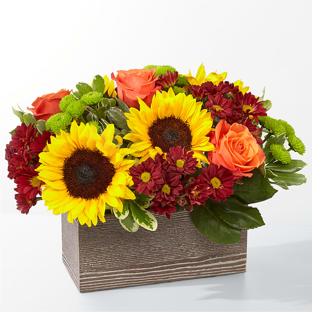 Happy Harvest Garden – KIEFER'S FLORIST, Coshocton OH