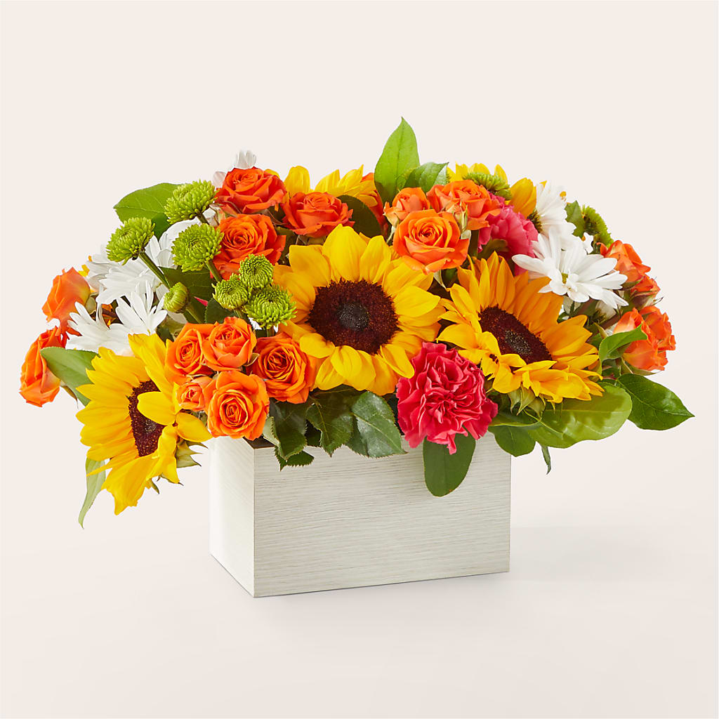 Sun-drenched Blooms Box Bouquet – KIEFER'S FLORIST, Coshocton OH