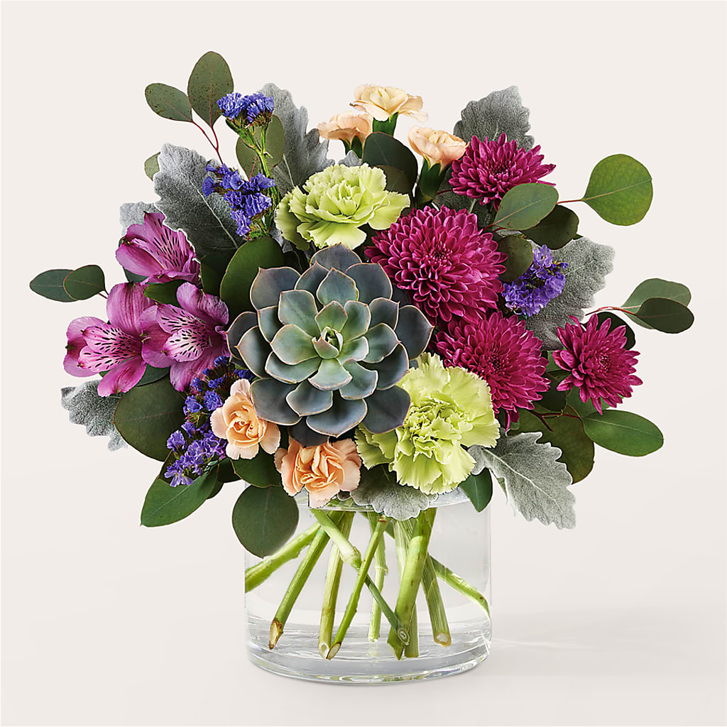 Botanical Dream Bouquet – KIEFER'S FLORIST, Coshocton OH