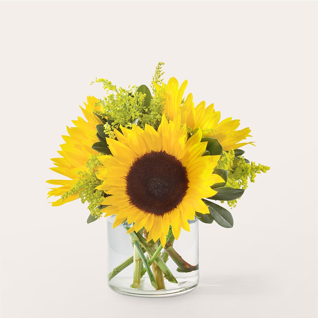 Beaming Sunflower Bouquet – KIEFER'S FLORIST, Coshocton OH