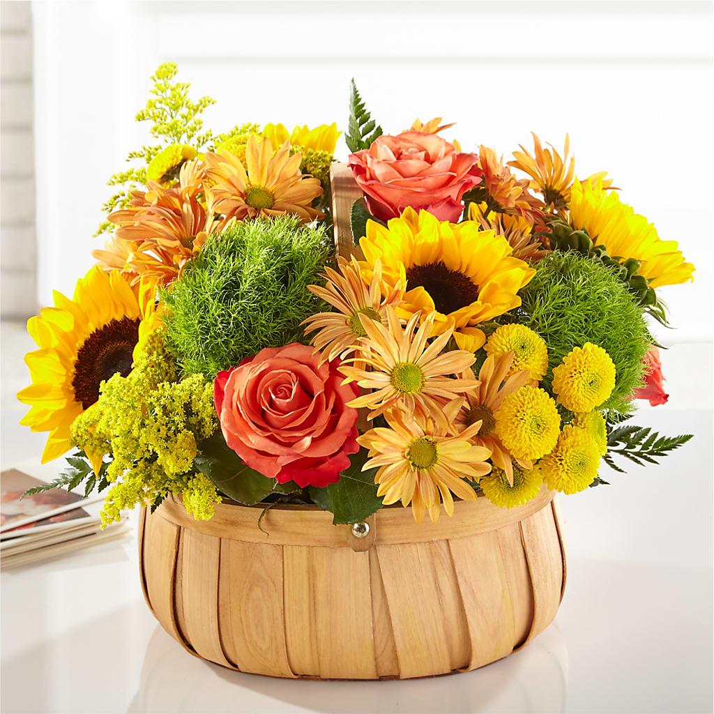 Harvest Sunflower Basket – KIEFER'S FLORIST, Coshocton OH