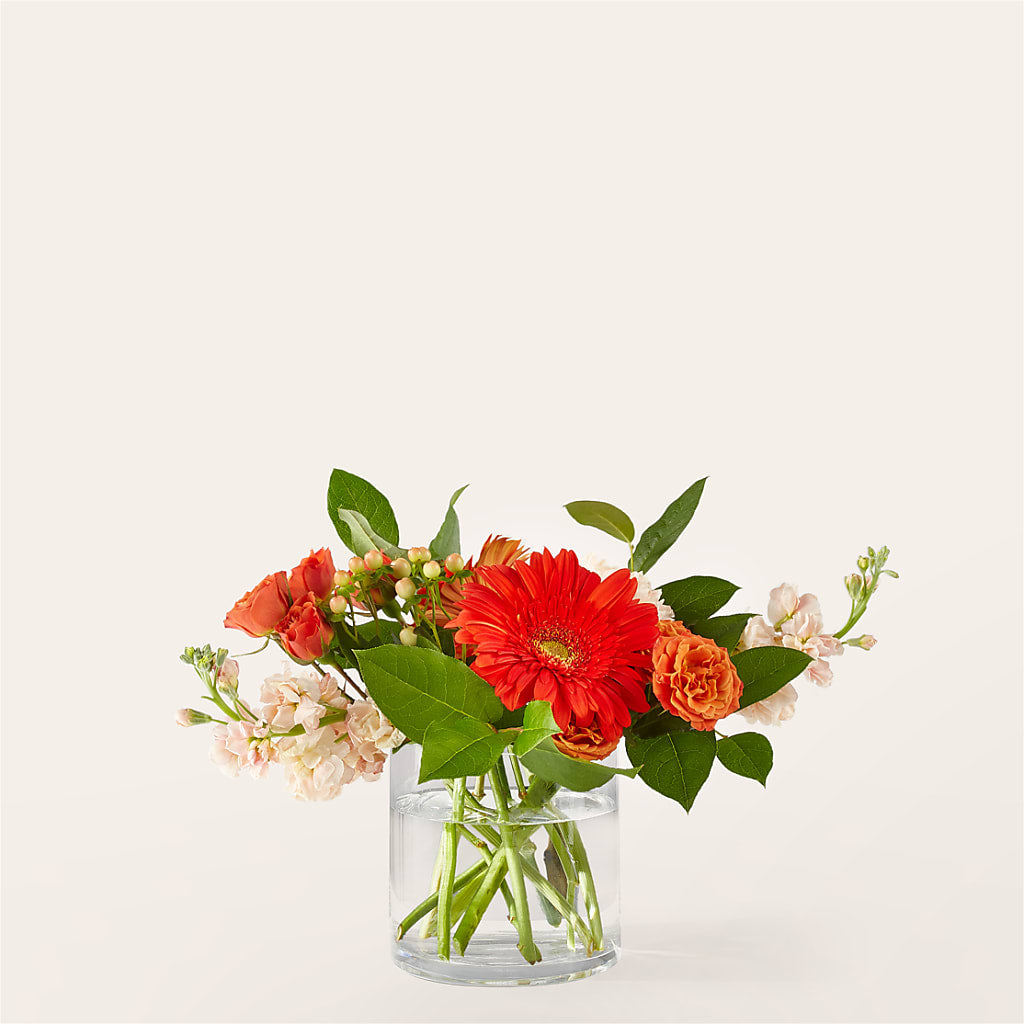 Paloma Please Bouquet – KIEFER'S FLORIST, Coshocton OH
