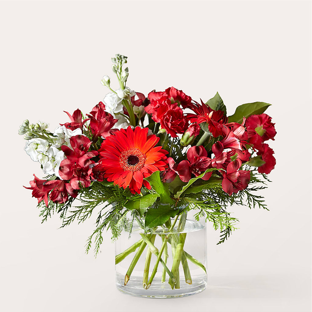 Holidaisy Bouquet – KIEFER'S FLORIST, Coshocton OH