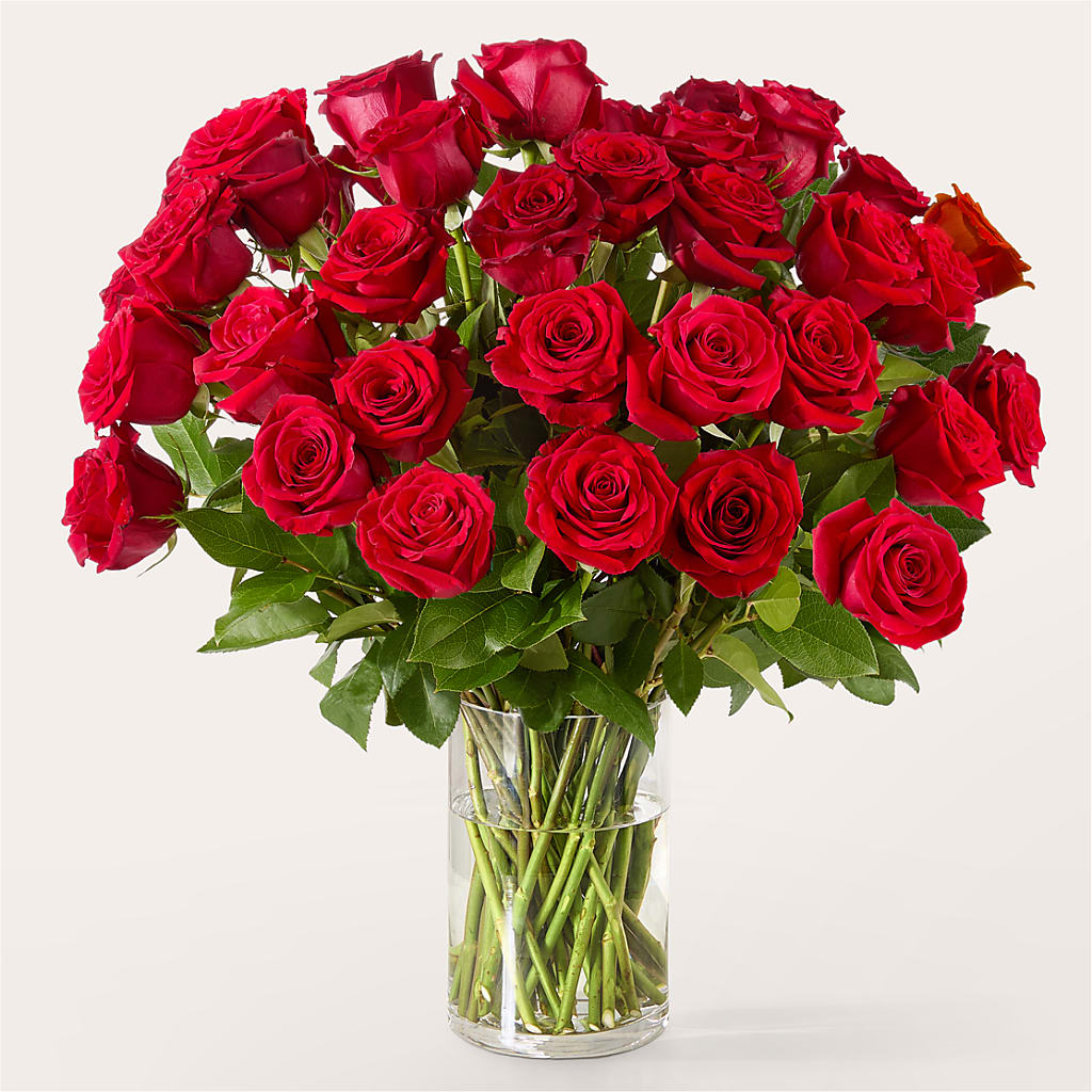 The One Red Rose Bouquet – KIEFER'S FLORIST, Coshocton OH