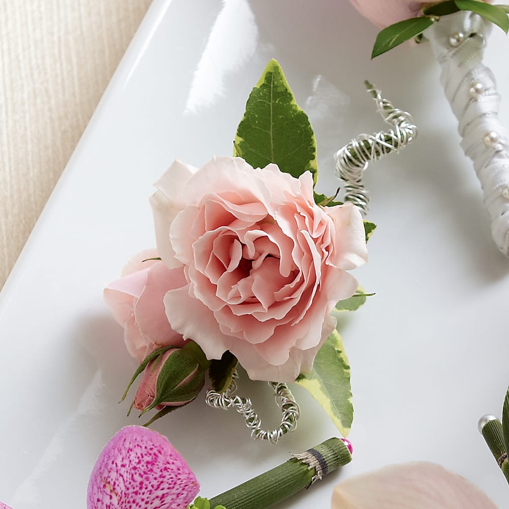 Pink Spray Rose Boutonniere – KIEFER'S FLORIST, Coshocton OH
