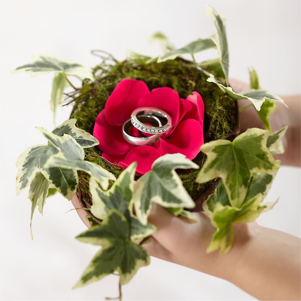Lila Rose Ring Nest – KIEFER'S FLORIST, Coshocton OH