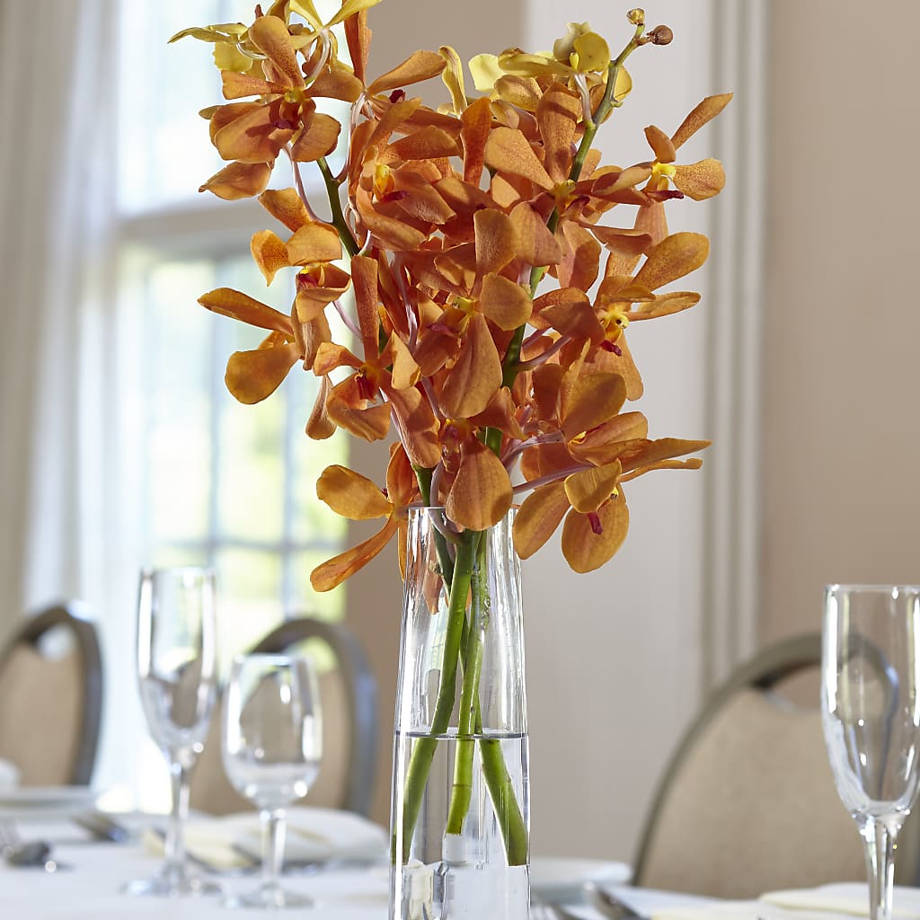 Orange Mokara Bud Vase – KIEFER'S FLORIST, Coshocton OH