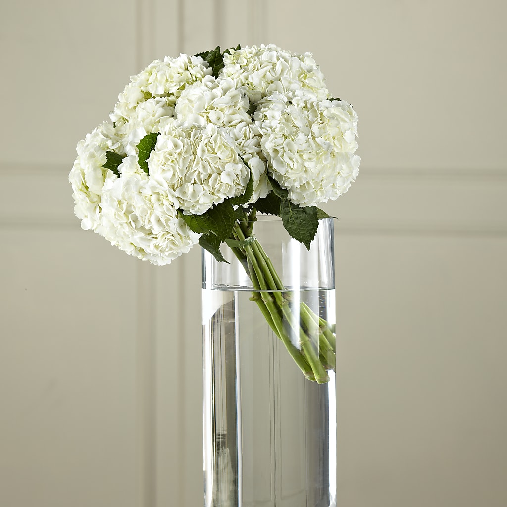 White Hydrangea Hand-Tied Bouquet – KIEFER'S FLORIST, Coshocton OH
