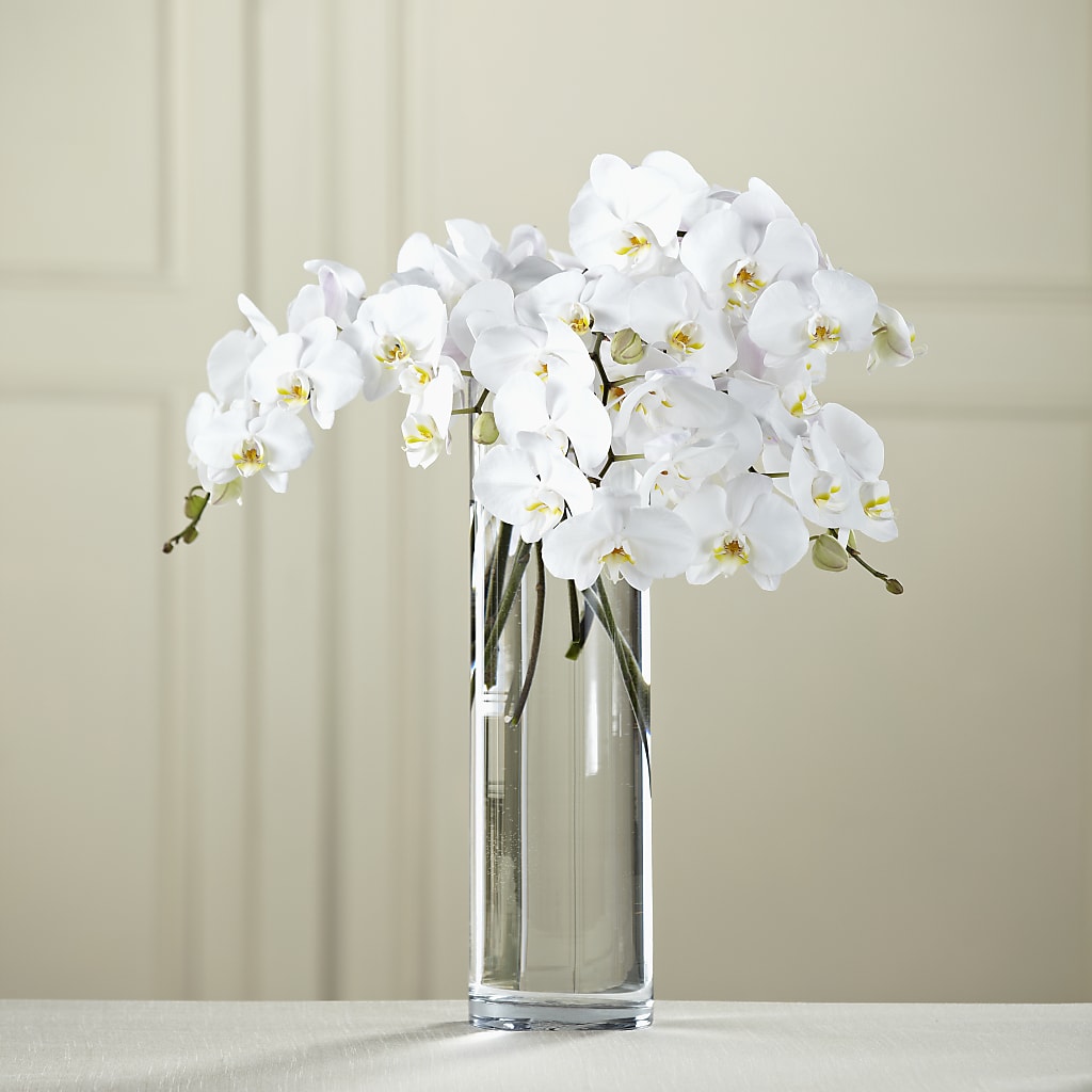 White Phalaenopsis Bouquet – KIEFER'S FLORIST, Coshocton OH