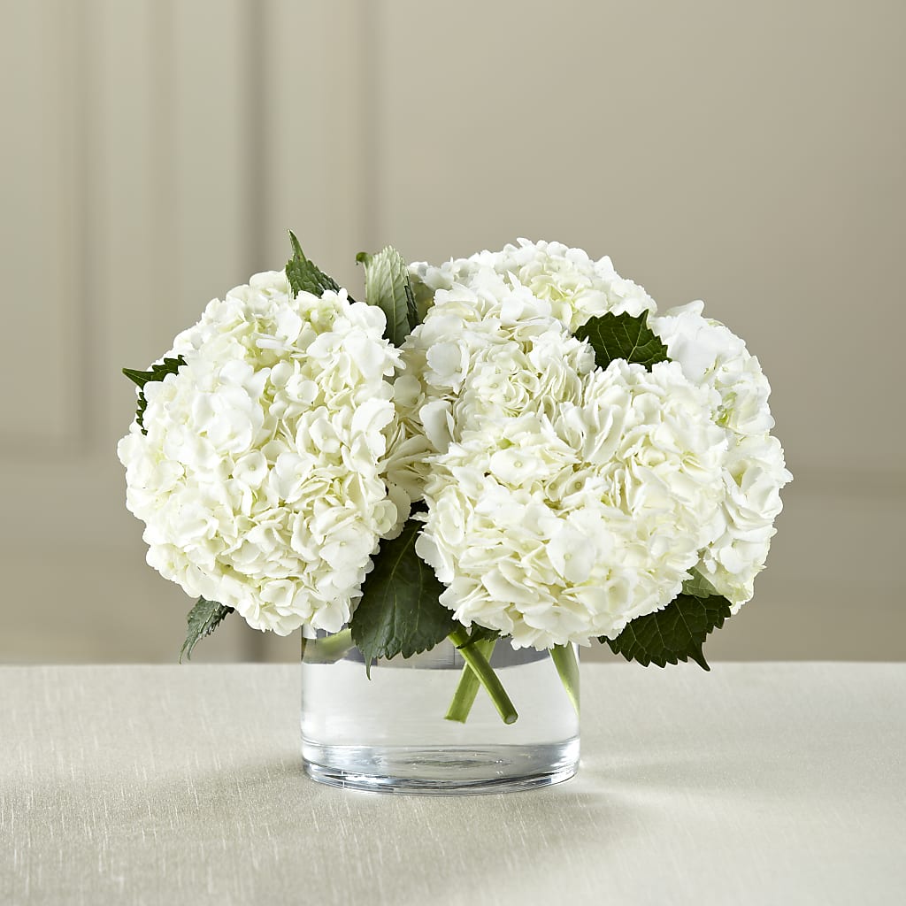 White Hydrangea Bouquet – KIEFER'S FLORIST, Coshocton OH
