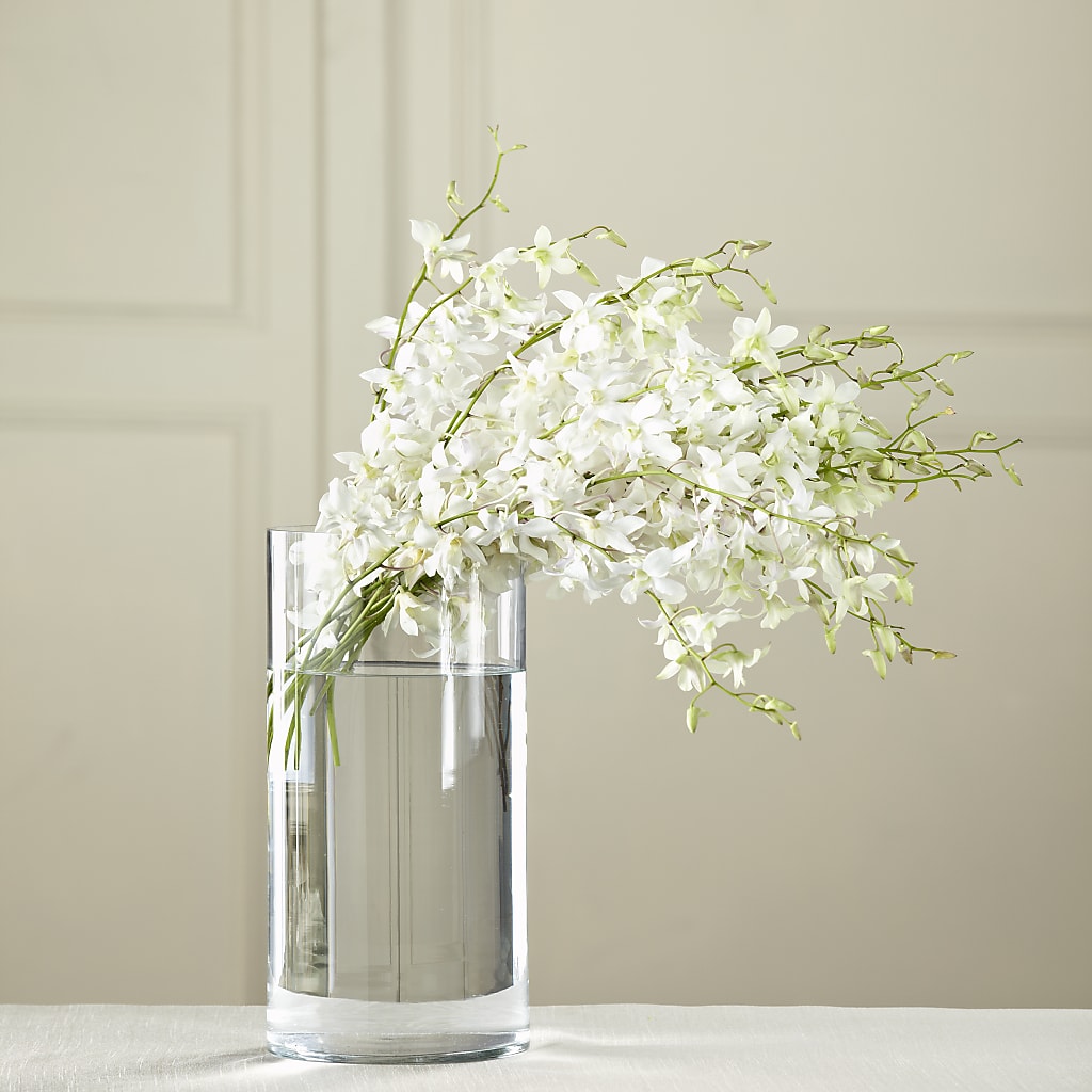 White Dendrobium Bouquet – KIEFER'S FLORIST, Coshocton OH
