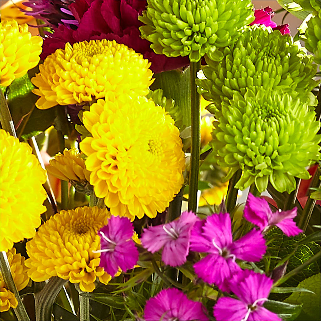 Bold & Bright – A Florist Original – KIEFER'S FLORIST, Coshocton OH