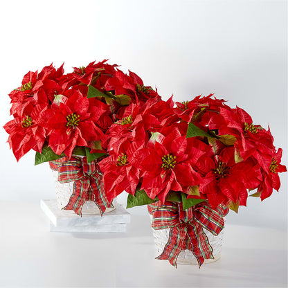 Happiest Holidays Poinsettia Bundle – KIEFER'S FLORIST, Coshocton OH