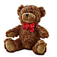 Adorable Plush Bear – KIEFER'S FLORIST, Coshocton OH