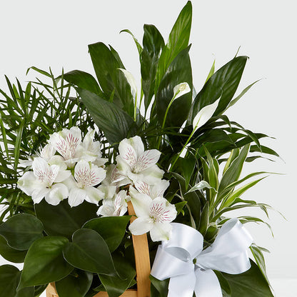 Peace & Serenity Dishgarden – KIEFER'S FLORIST, Coshocton OH
