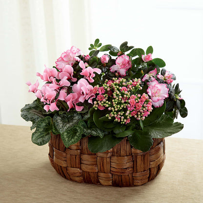 Pink Assortment – KIEFER'S FLORIST, Coshocton OH