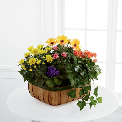 Gentle Blossoms Basket – KIEFER'S FLORIST, Coshocton OH