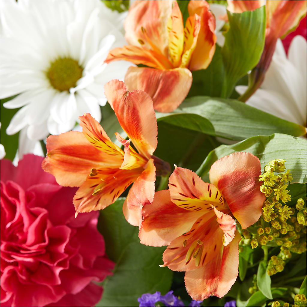 Oopsie Daisy Box Bouquet – KIEFER'S FLORIST, Coshocton OH