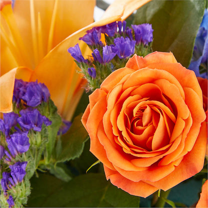 Radiant Citrus Box Bouquet – KIEFER'S FLORIST, Coshocton OH