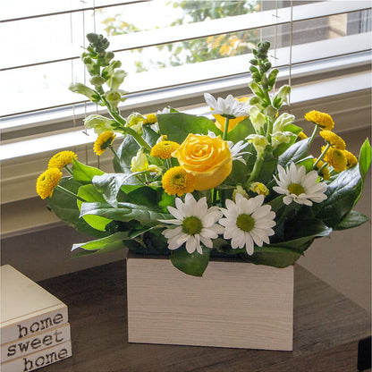 Sun Salutation Box Bouquet – KIEFER'S FLORIST, Coshocton OH