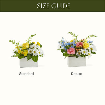 Sun Salutation Box Bouquet – KIEFER'S FLORIST, Coshocton OH
