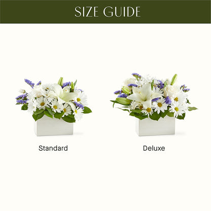 Beyond Blue Box Bouquet – KIEFER'S FLORIST, Coshocton OH
