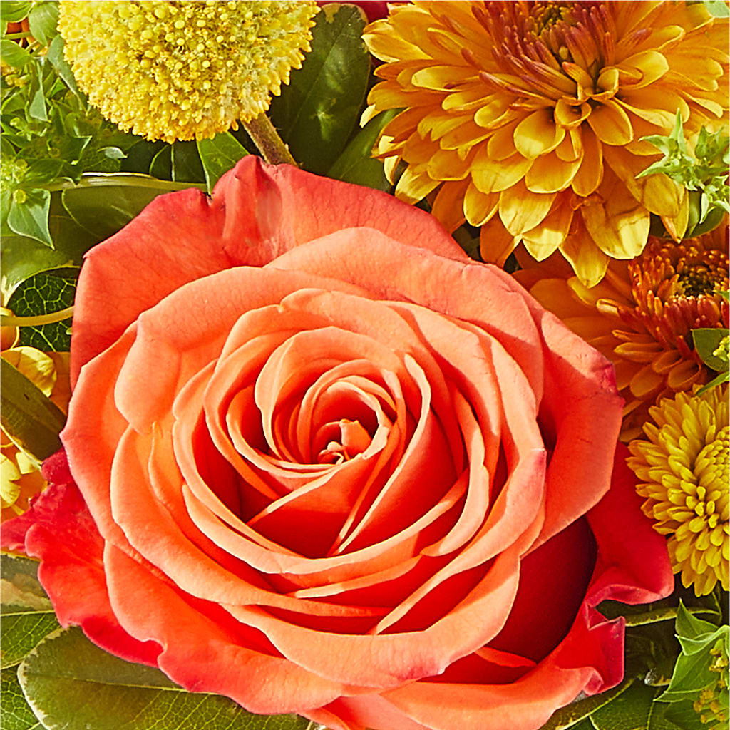 Gourdgeous Pumpkin – KIEFER'S FLORIST, Coshocton OH
