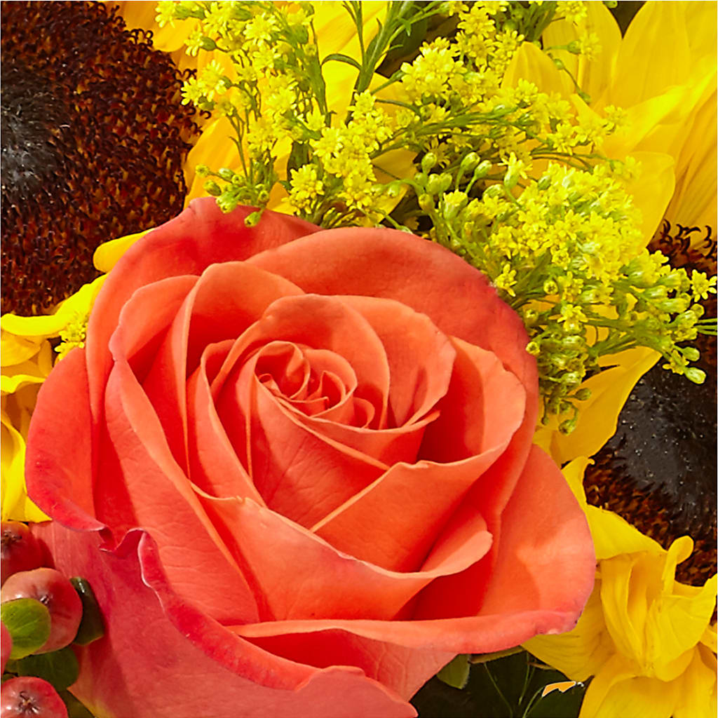 Pick of the Patch Pumpkin Bouquet – KIEFER'S FLORIST, Coshocton OH