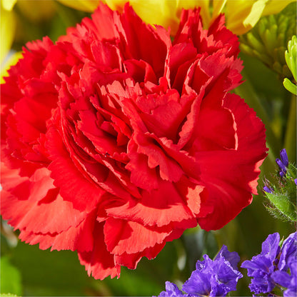 Brighter Days Bouquet – KIEFER'S FLORIST, Coshocton OH