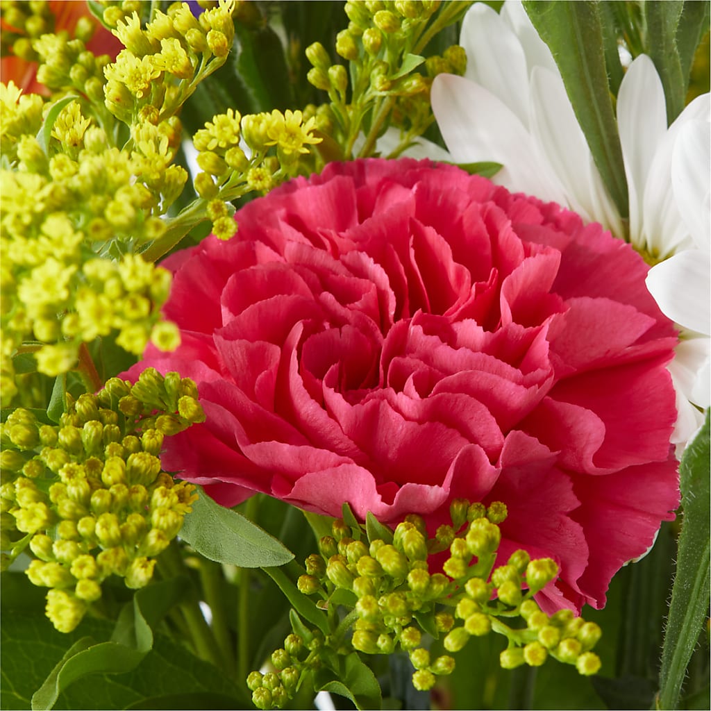 Oopsie Daisy Bouquet – KIEFER'S FLORIST, Coshocton OH
