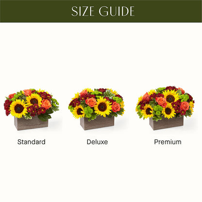 Happy Harvest Garden – KIEFER'S FLORIST, Coshocton OH