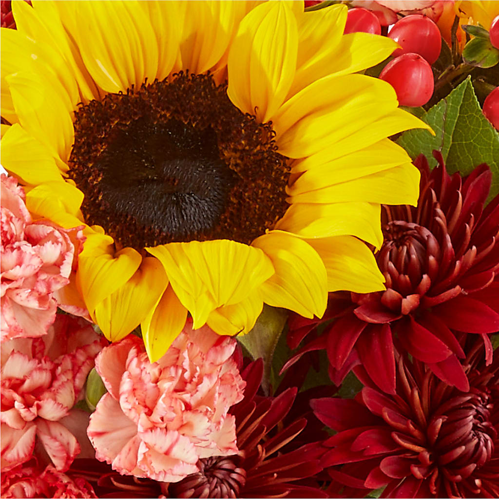 Fresh Cider Bouquet – KIEFER'S FLORIST, Coshocton OH