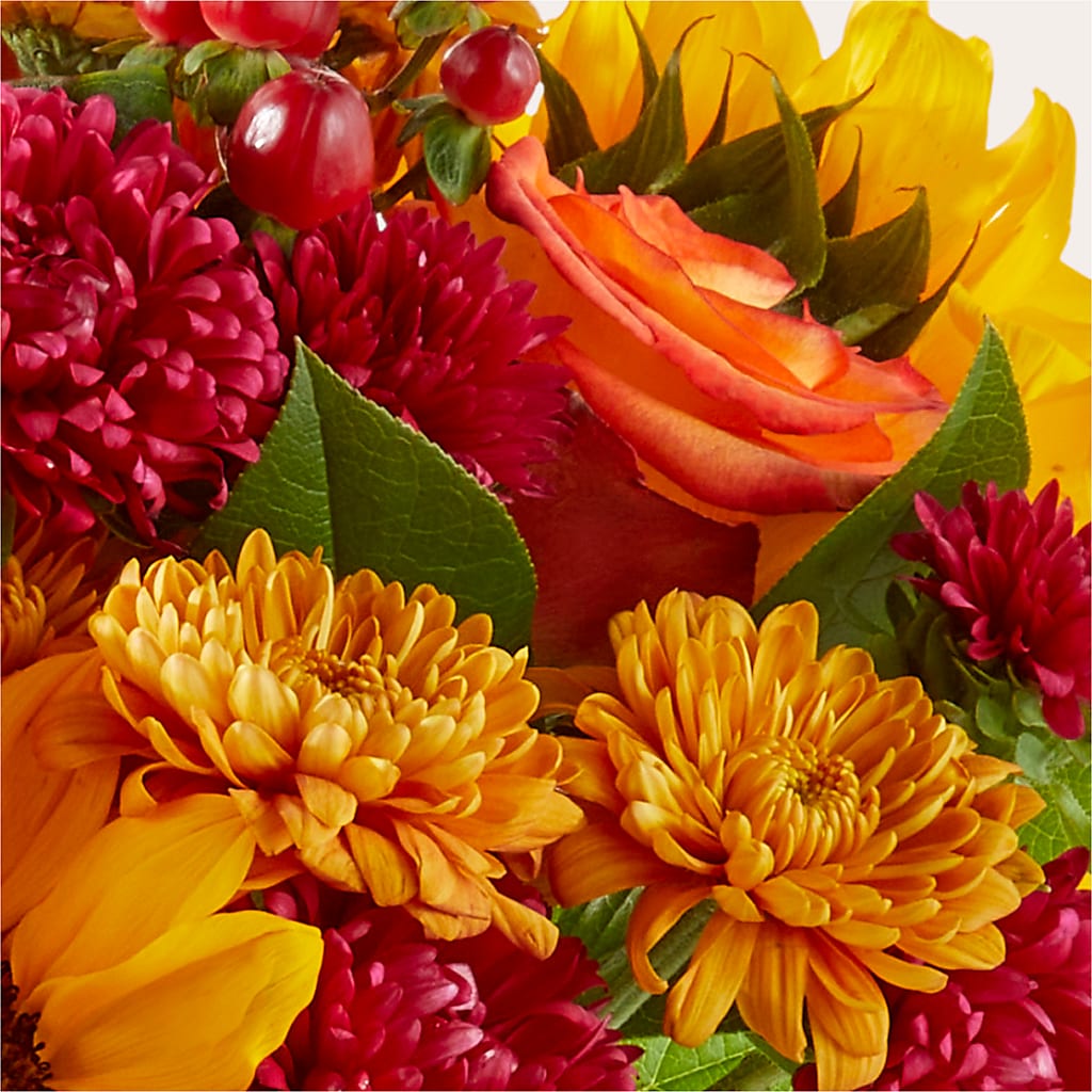 Sweater Season - A Florist Original – KIEFER'S FLORIST, Coshocton OH