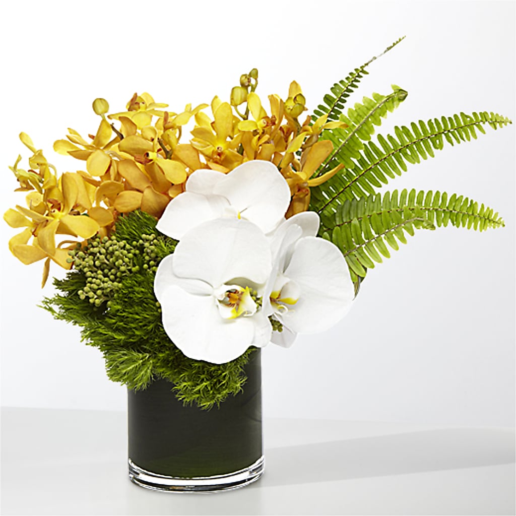 The Tropics – KIEFER'S FLORIST, Coshocton OH