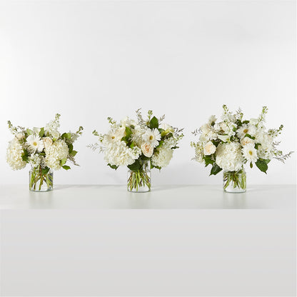 Sun-drenched Blooms Box Bouquet – KIEFER'S FLORIST, Coshocton OH