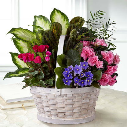 Peaceful Garden Planter – KIEFER'S FLORIST, Coshocton OH