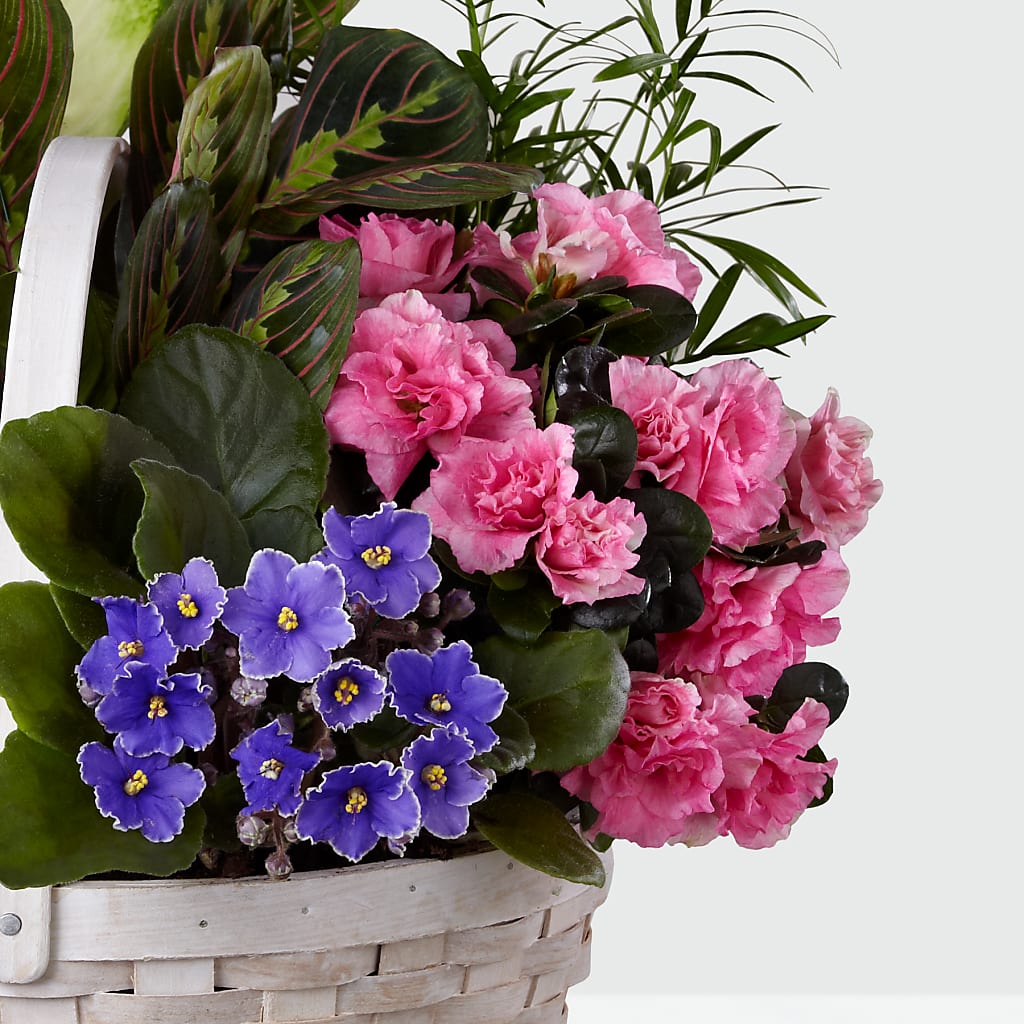 Peaceful Garden Planter – KIEFER'S FLORIST, Coshocton OH